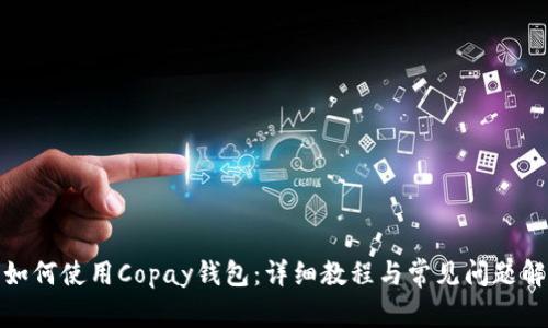 : 如何使用Copay钱包:详细教程与常见问题解答