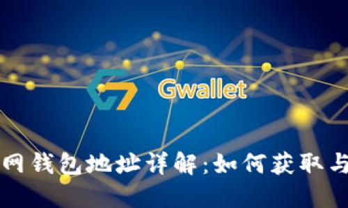 火币网钱包地址详解:如何获取与使用