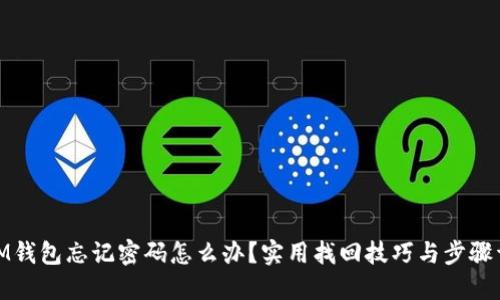 : IM钱包忘记密码怎么办？实用找回技巧与步骤详解