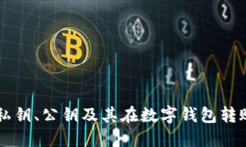 深入理解私钥、公钥及其在数字钱包转账中的应用