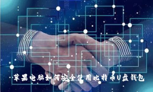 苹果电脑如何安全使用比特币U盘钱包