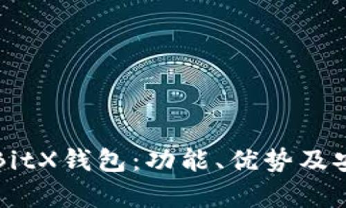全面解析BitX钱包:功能、优势及安全性分析