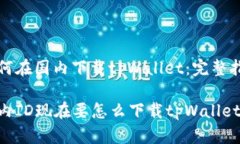 如何在国内下载tpWallet：完整指南国内