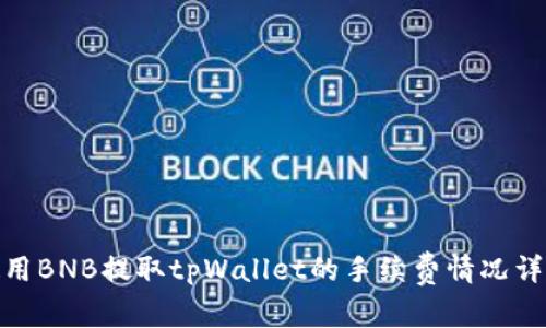 使用BNB提取tpWallet的手续费情况详解
