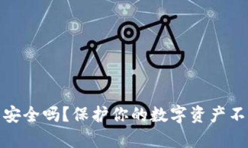 tp创建的钱包安全吗？保护你的数字资产不被盗的重要性