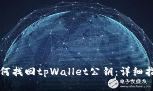 如何找回tpWallet公钥：详细指南