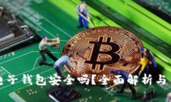 比特币电子钱包安全吗？全面解析与用户指南