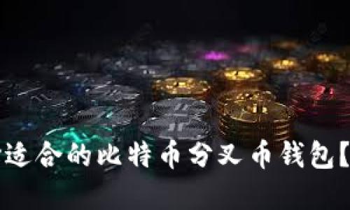 如何选择适合的比特币分叉币钱包？全面指南