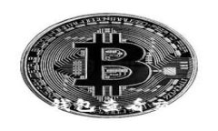 如何使用零币钱包查看交易记录和余额